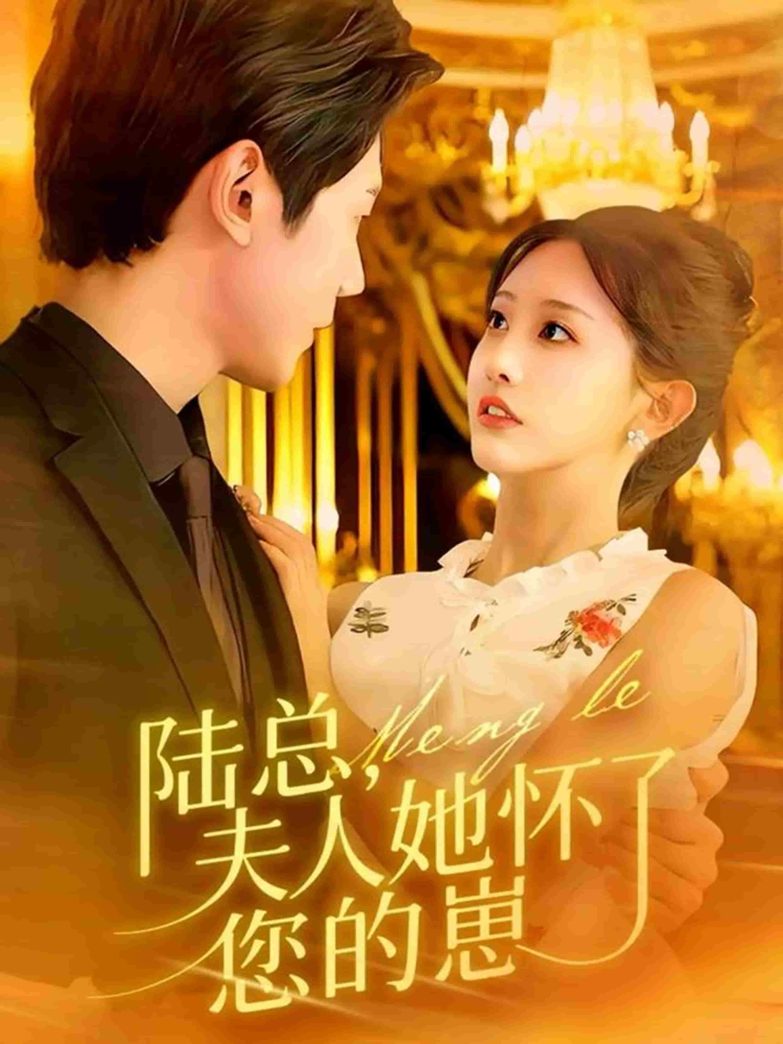 陆总，夫人她怀了您的崽封面图