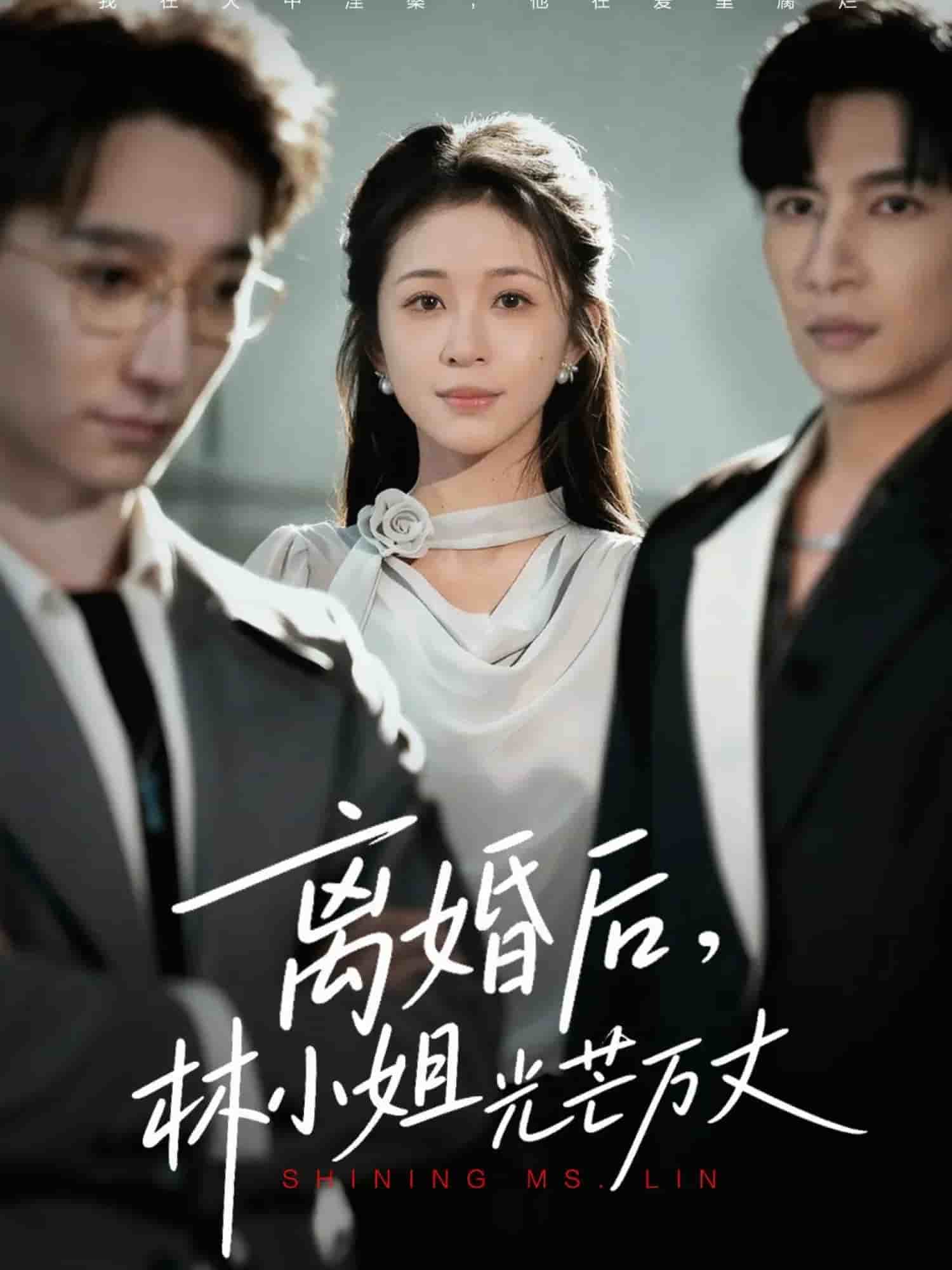 离婚后林小姐光芒万丈封面图