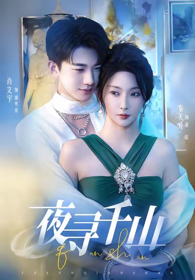 夜寻千山封面图