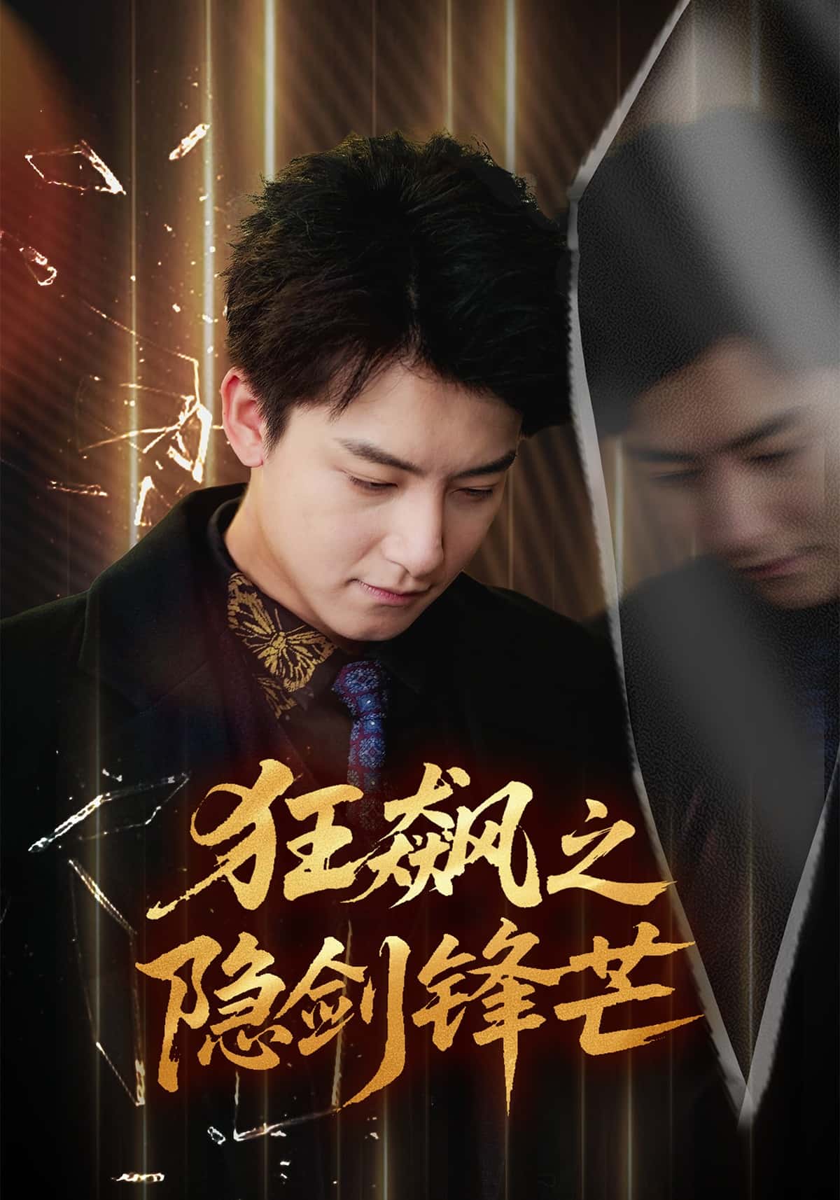 狂飙之隐剑锋芒封面图