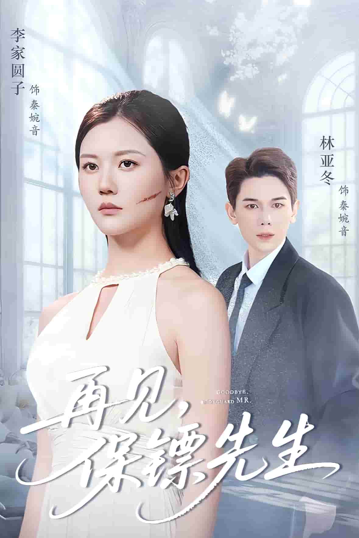 保镖先生我不要你了封面图