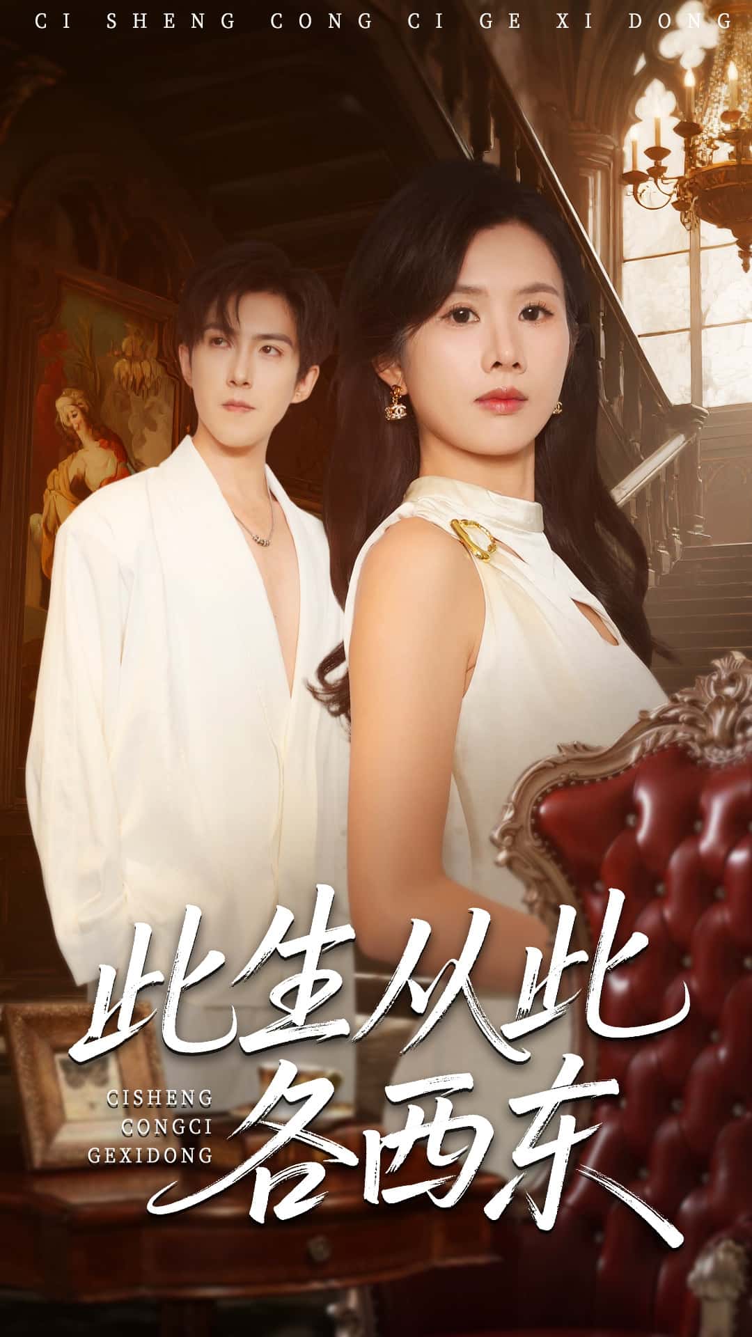 此生从此各西东封面图