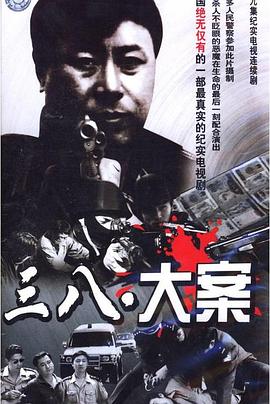 沈阳三八大案侦破纪实封面图