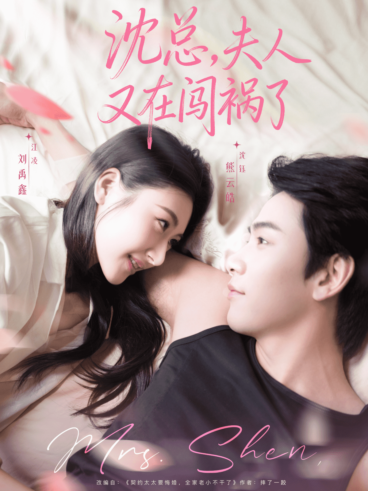 沈总，夫人又在闯祸了封面图