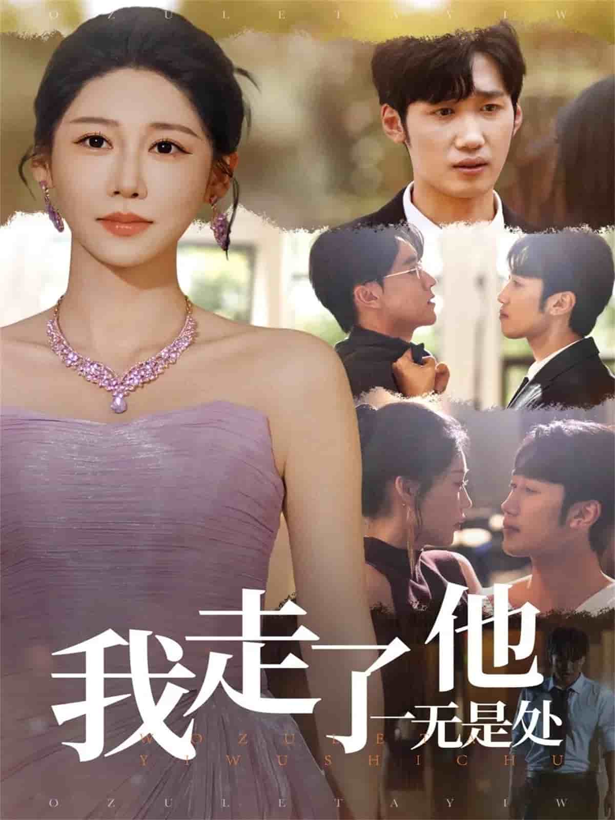 我走了他一无是处封面图