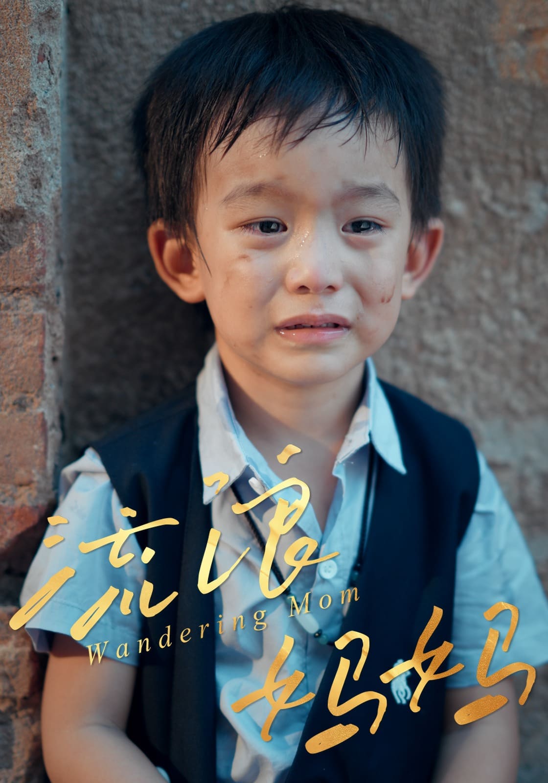 流浪妈妈封面图