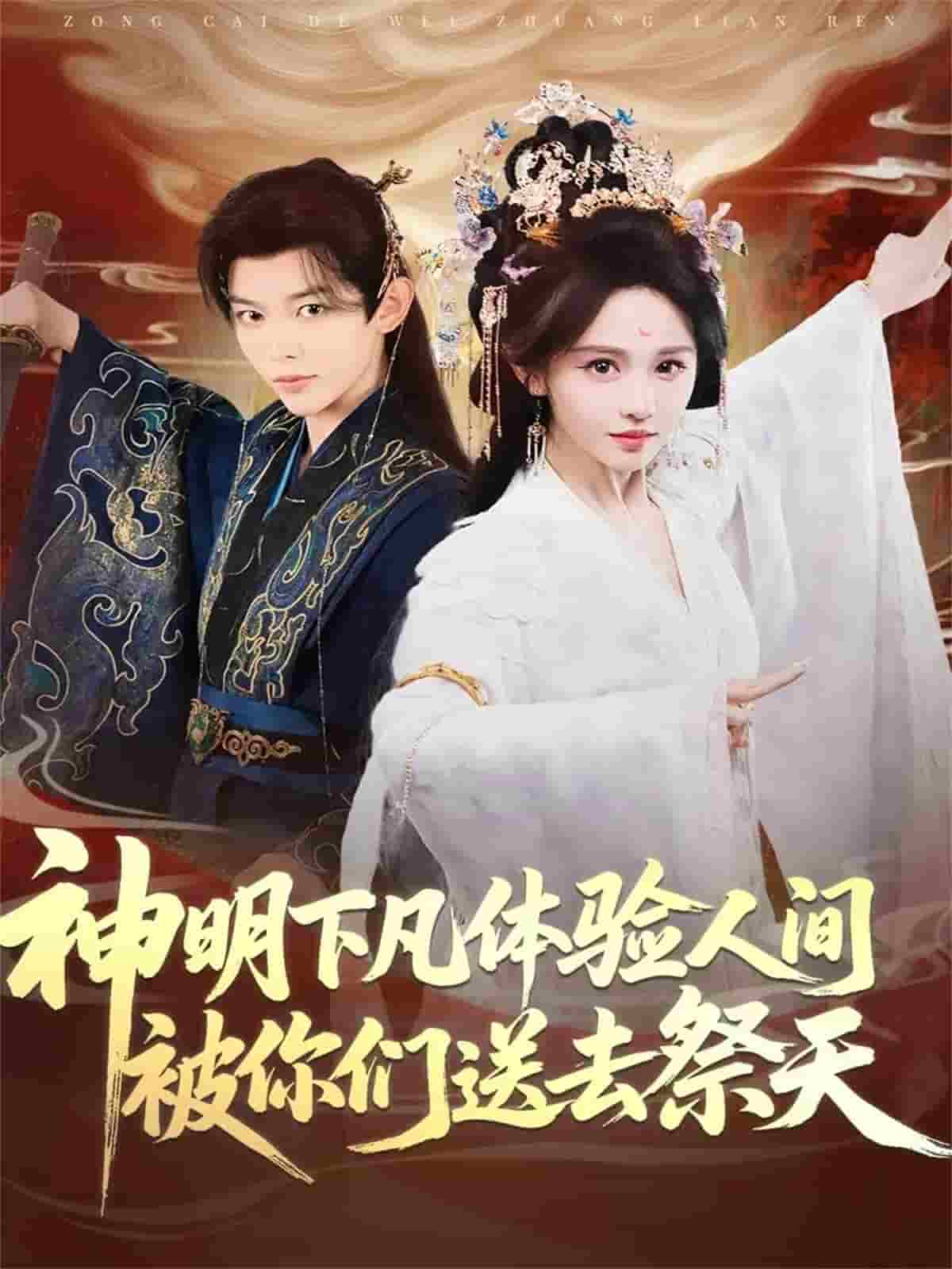 神明下凡体验人间被你们送去祭天封面图