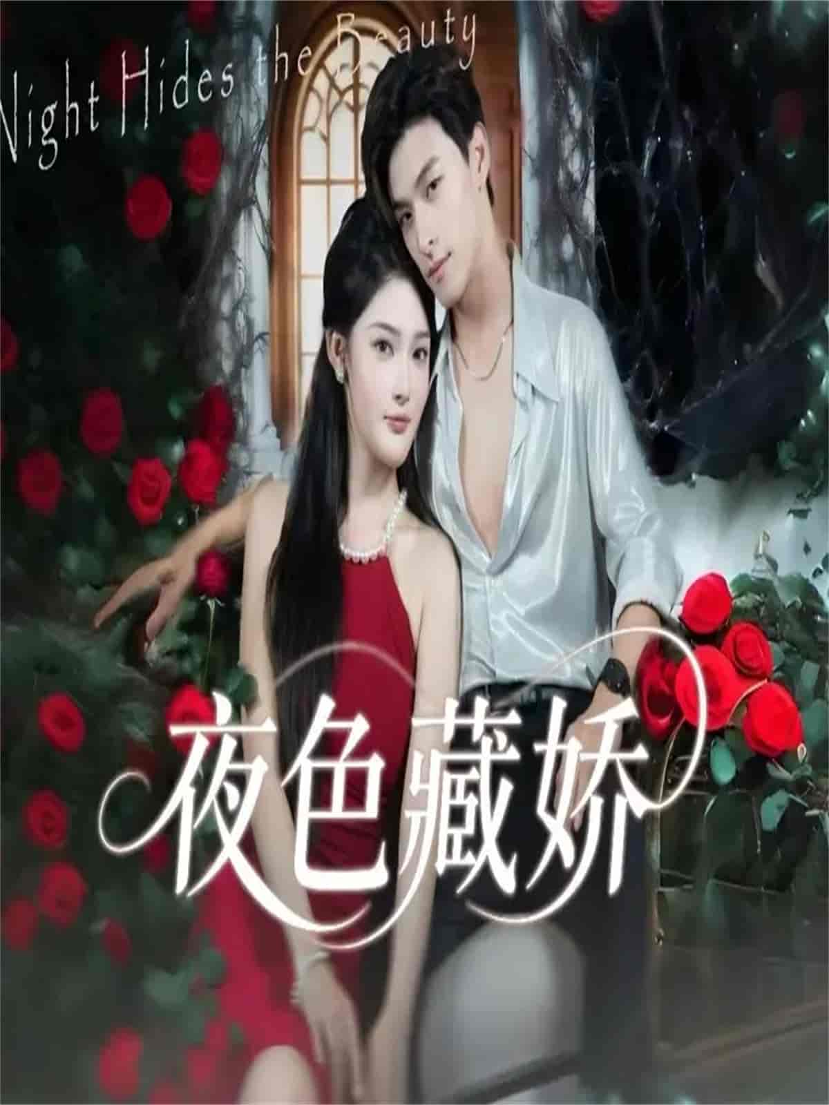 夜色藏娇封面图