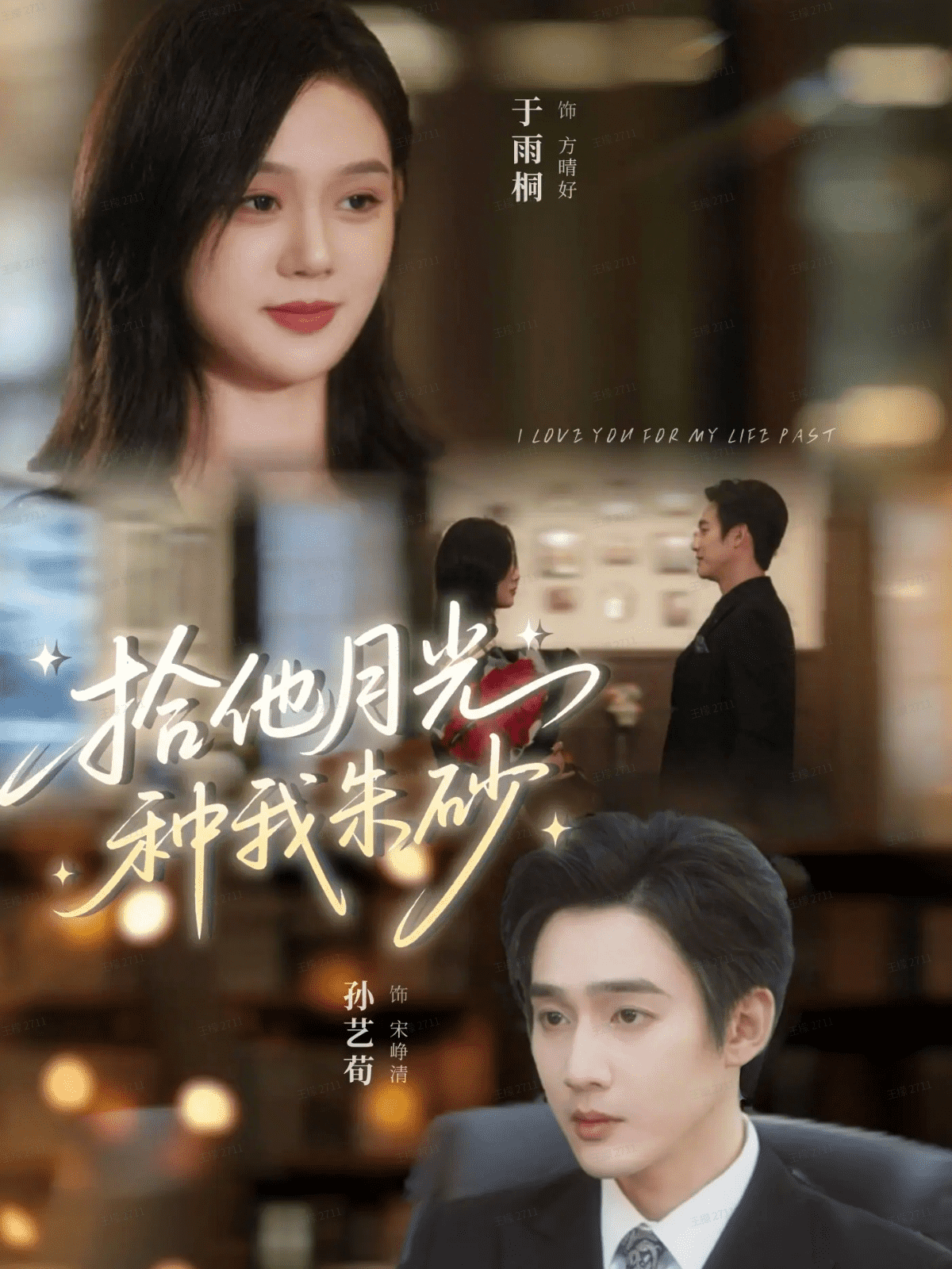 拾他月光种我朱砂封面图