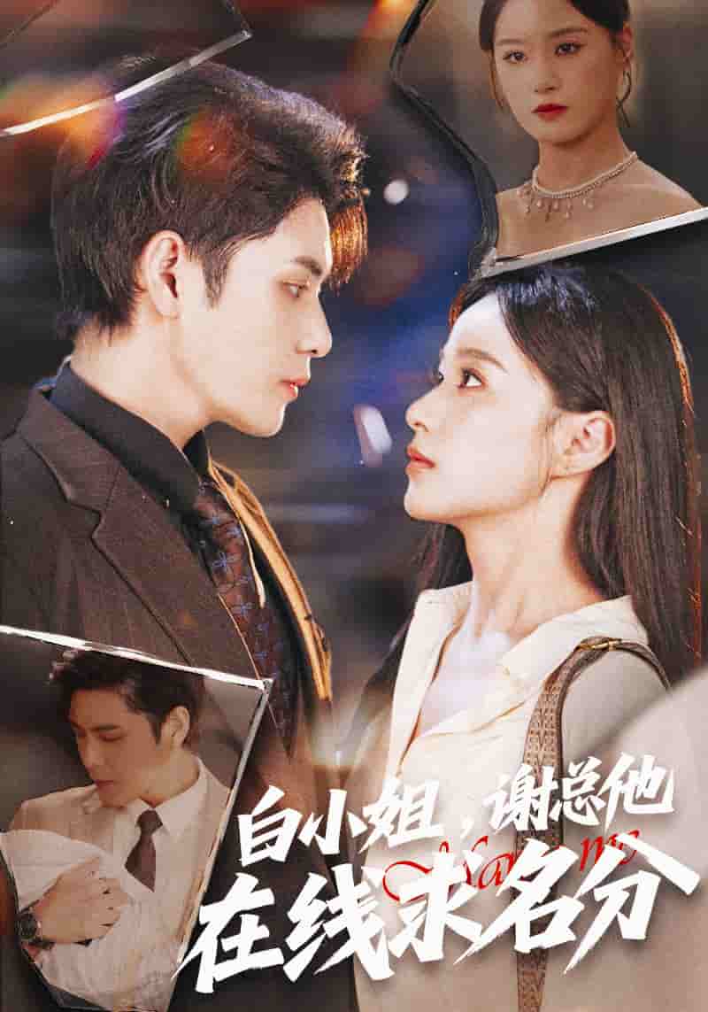 白小姐，谢总他在线求名分封面图