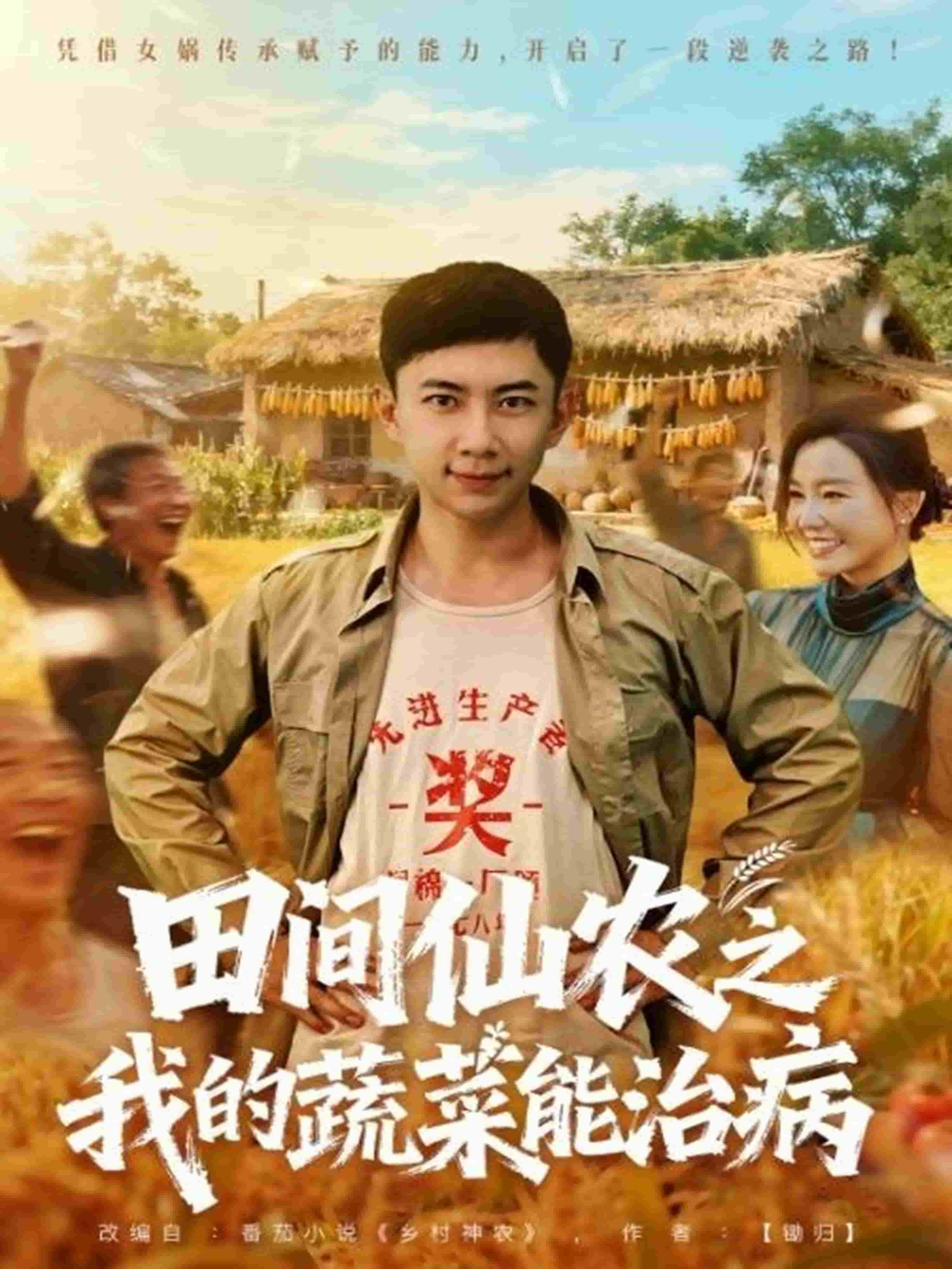 田间仙农之我的蔬菜能治病封面图