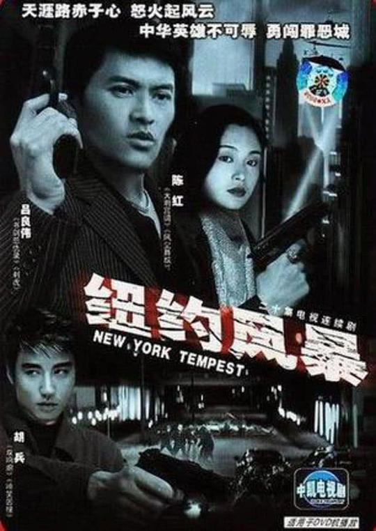 纽约风暴封面图