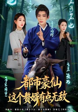 都市豪仙，这个赘婿有点无敌封面图