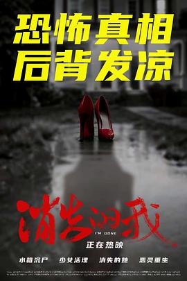 消失的我2026封面图