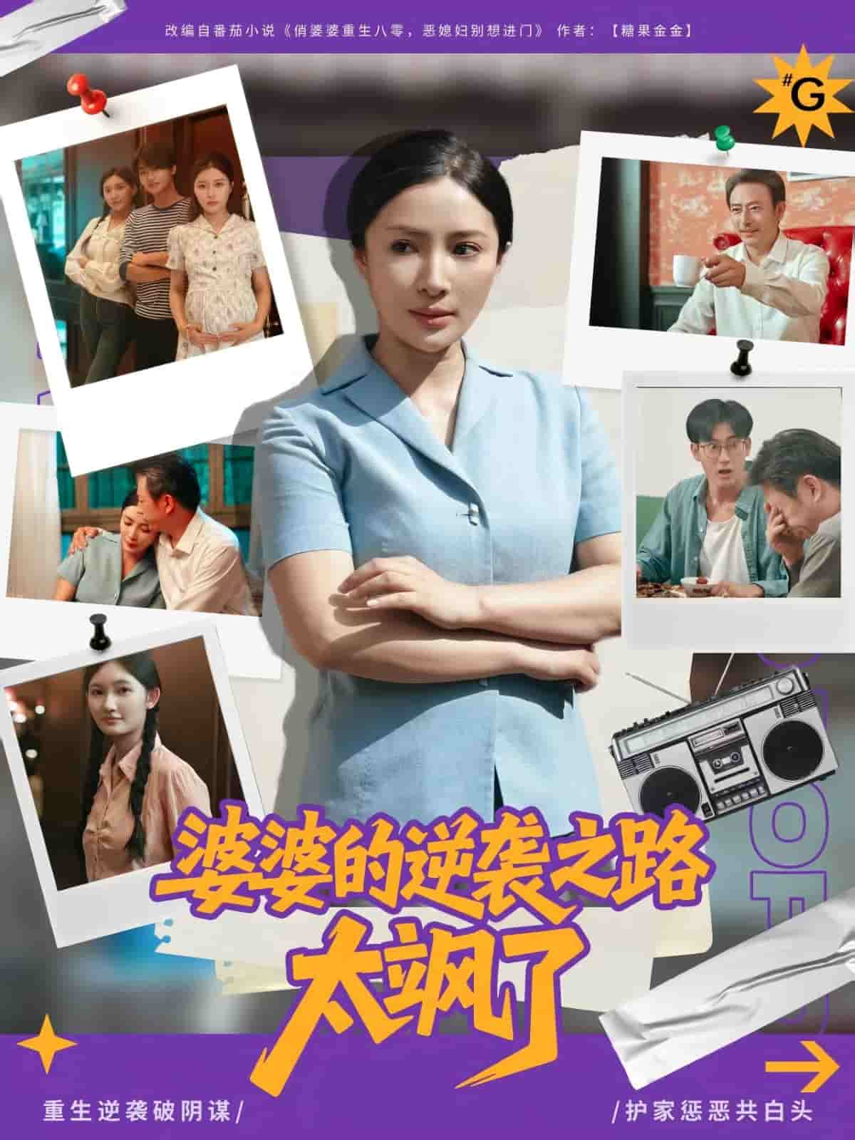 婆婆的逆袭之路太飒了封面图