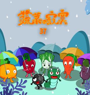 蔬菜不寂寞第37季封面图