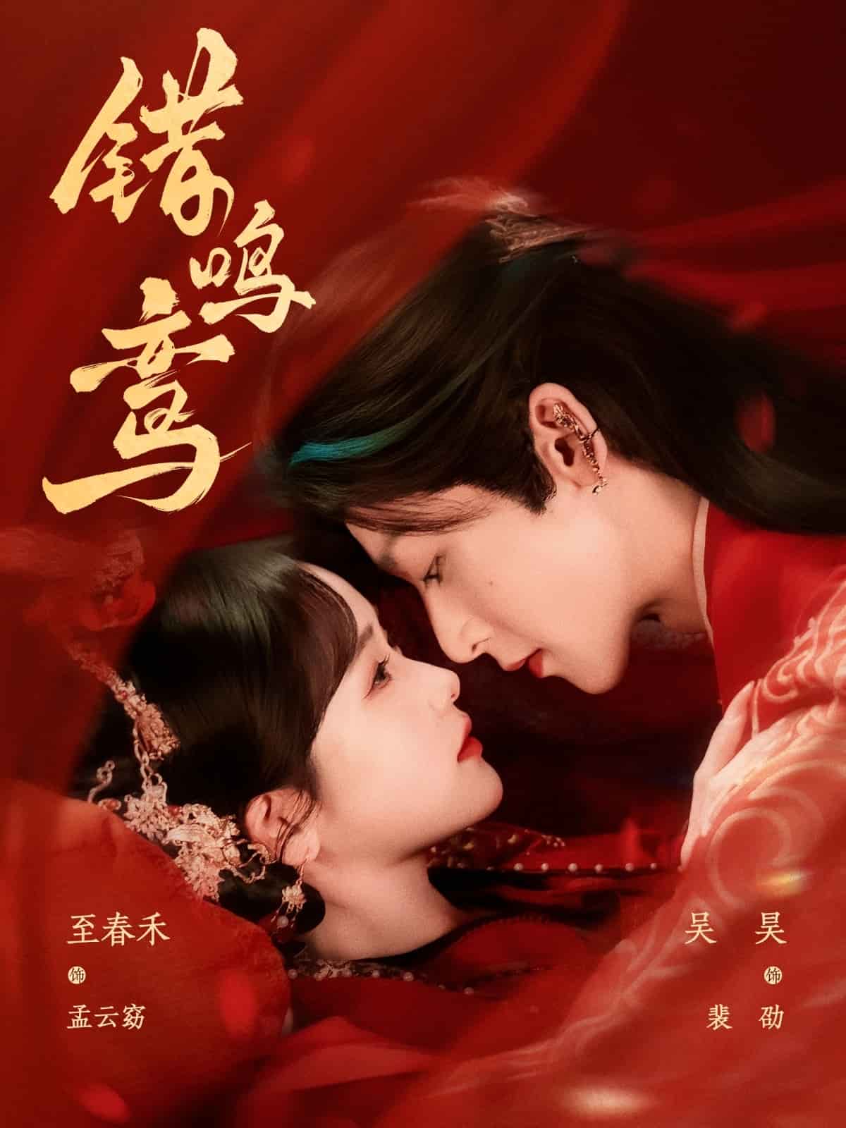 错鸣鸾封面图