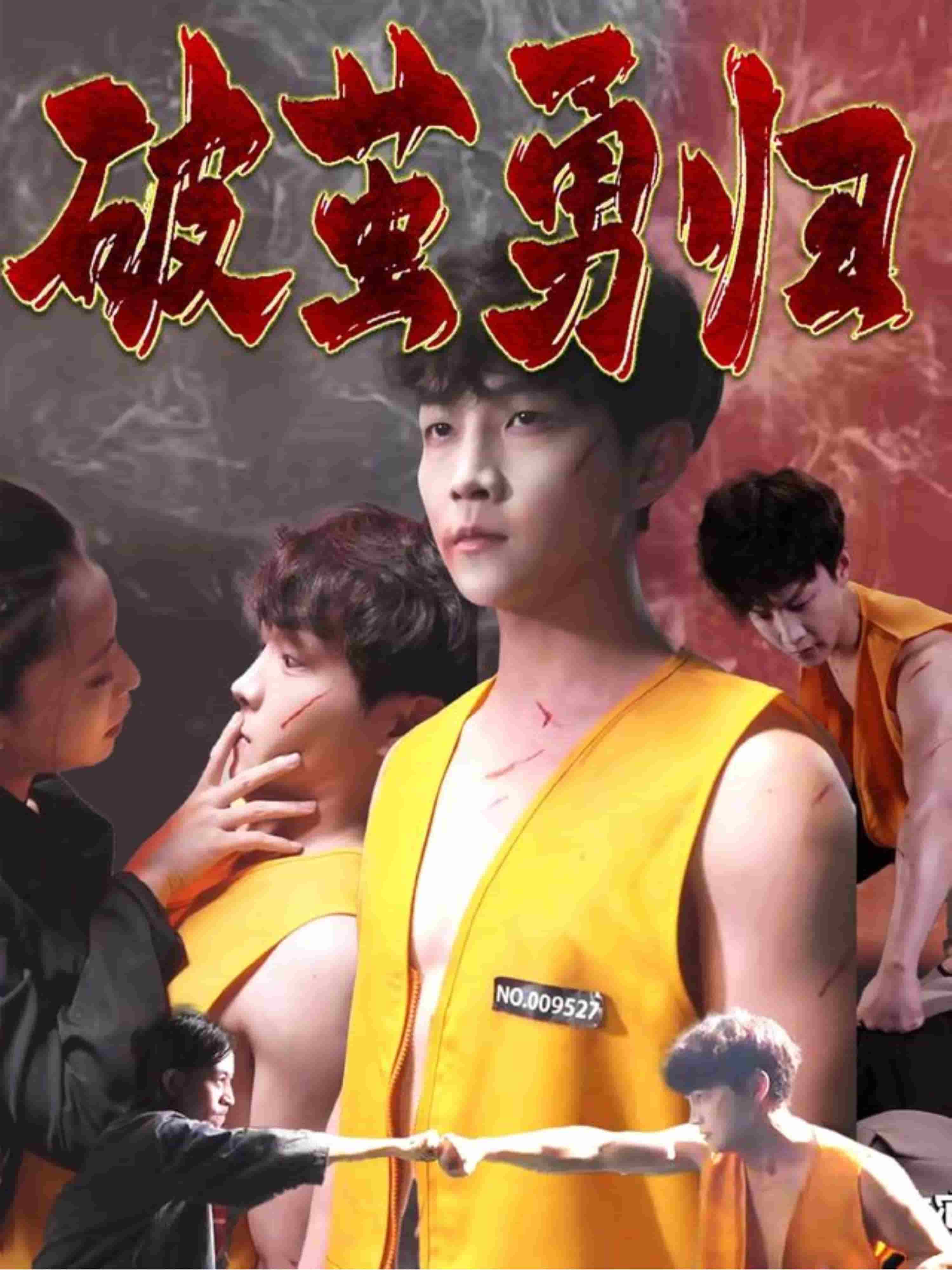 破茧勇归封面图