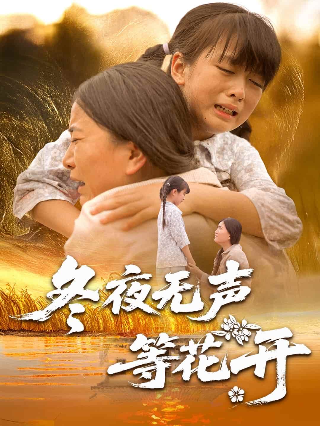冬夜无声等花开封面图