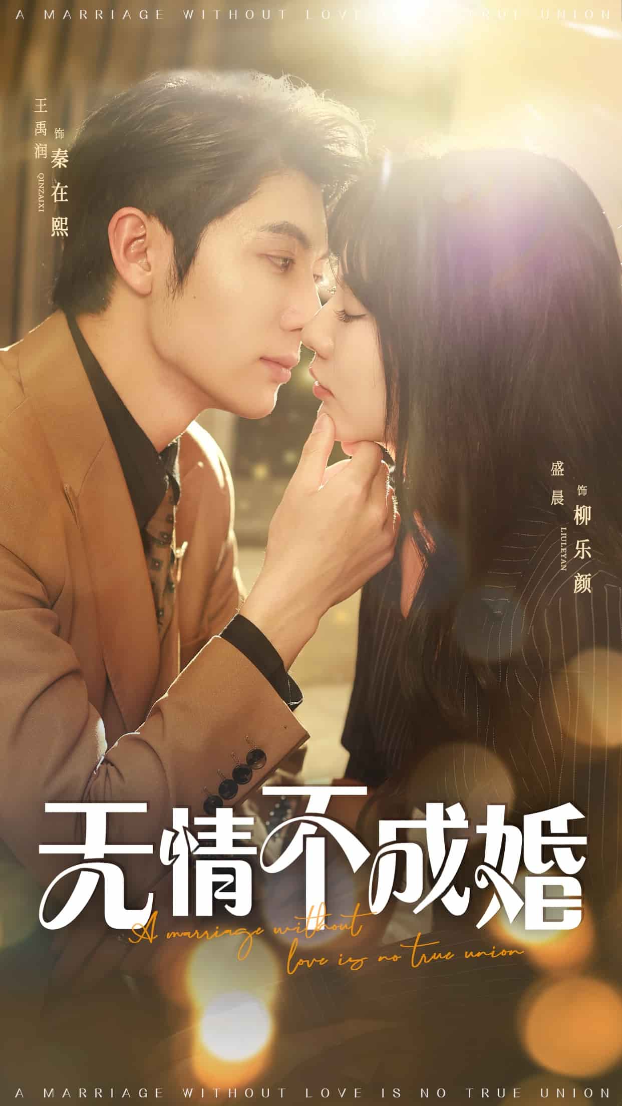 无情不成婚封面图