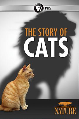猫科动物的故事封面图