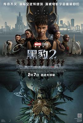 黑豹2封面图