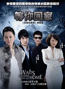 等你回家2013封面图