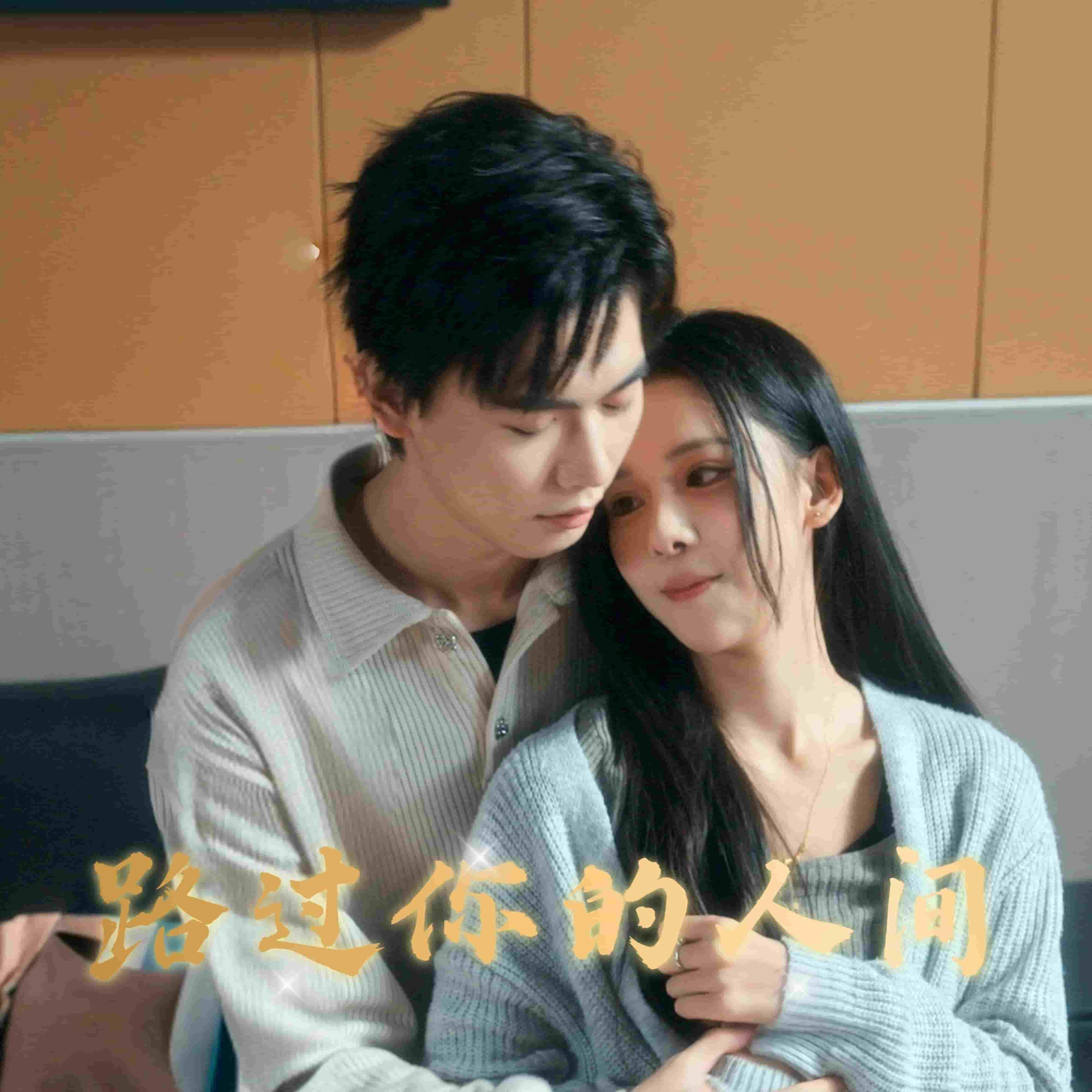 路过你的人间封面图