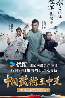 中国武术王中王封面图