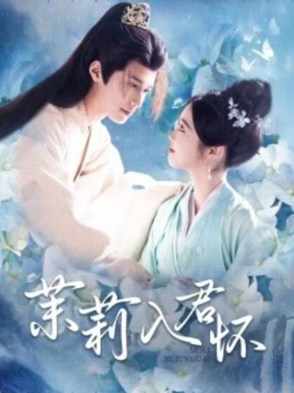 茉莉入君怀封面图