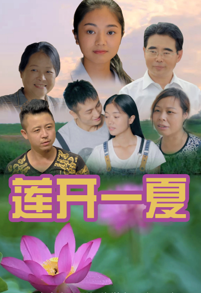 莲开一夏封面图