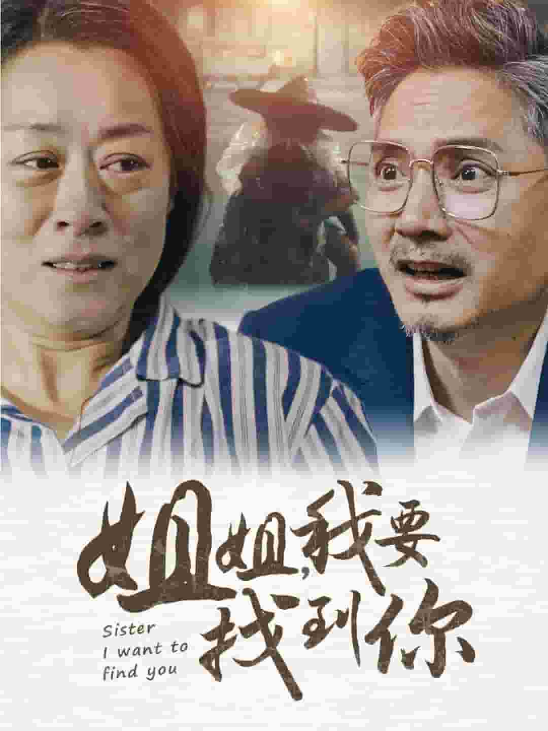 姐姐我要找到你封面图