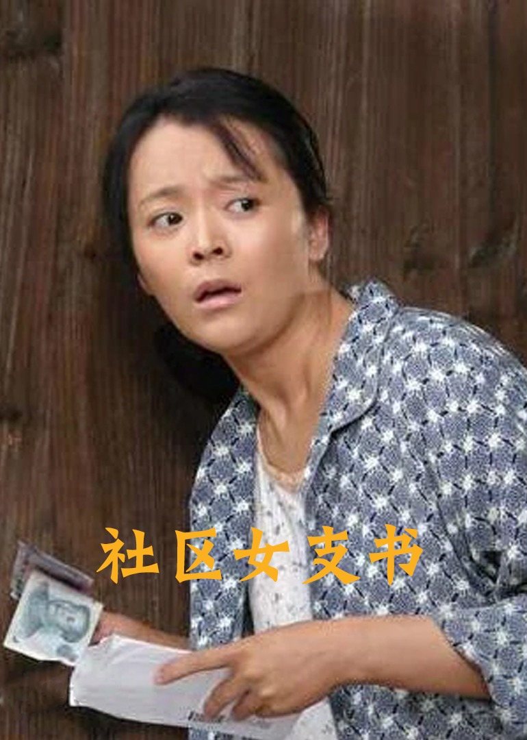 社区女支书封面图