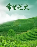 希望之火封面图