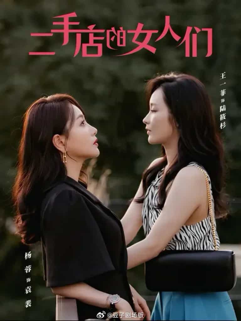 二手店的女人们封面图