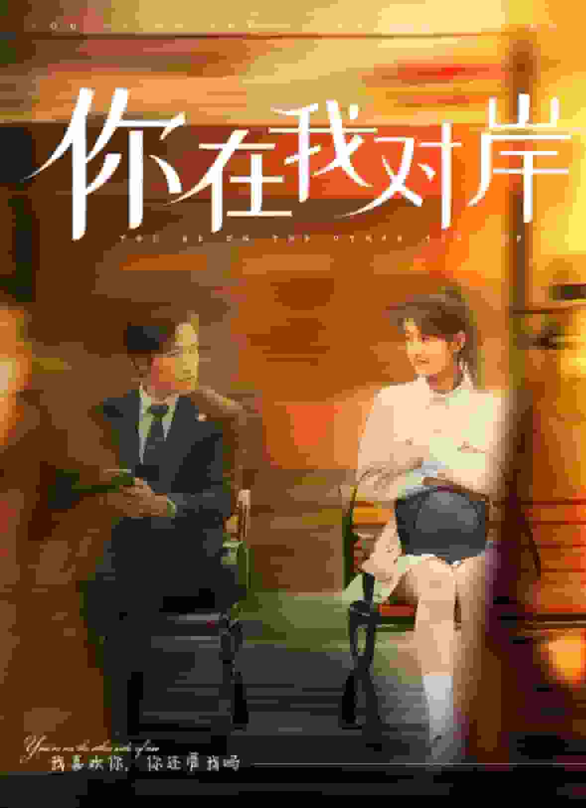 你在我对岸封面图