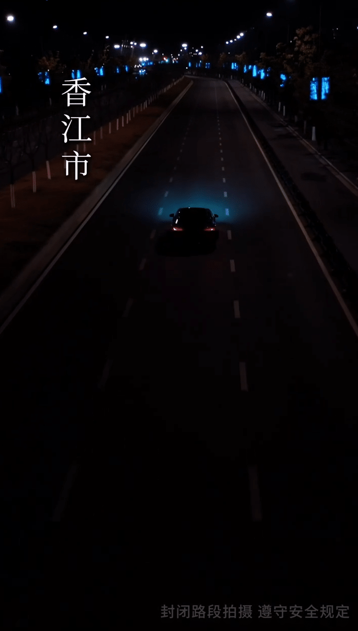 笼中雀封面图