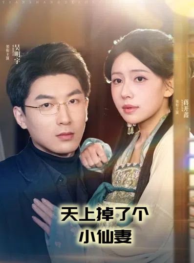 天上掉了个小仙妻封面图