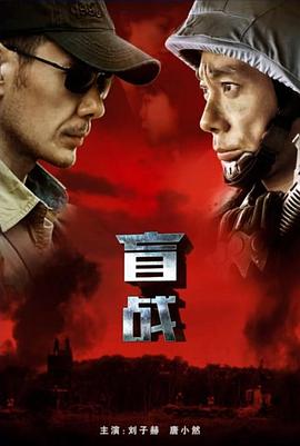 盲战封面图