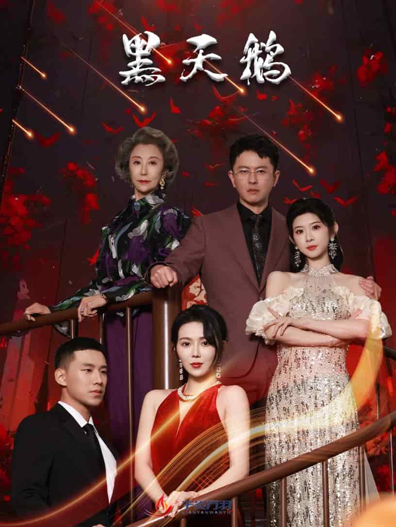 黑天鹅封面图