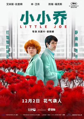 小小乔封面图