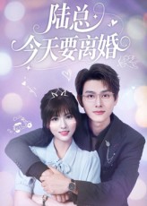 陆总今天要离婚封面图