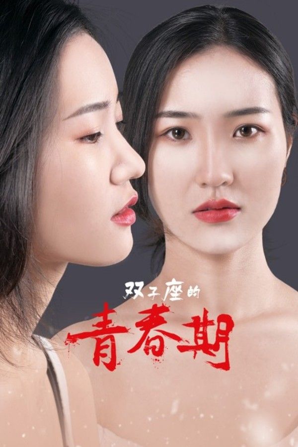 双子座的青春期封面图