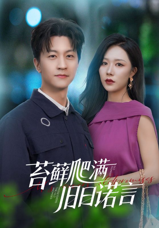 情途难负封面图