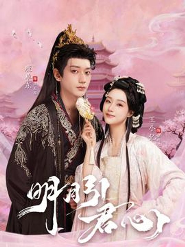 明月引君心封面图