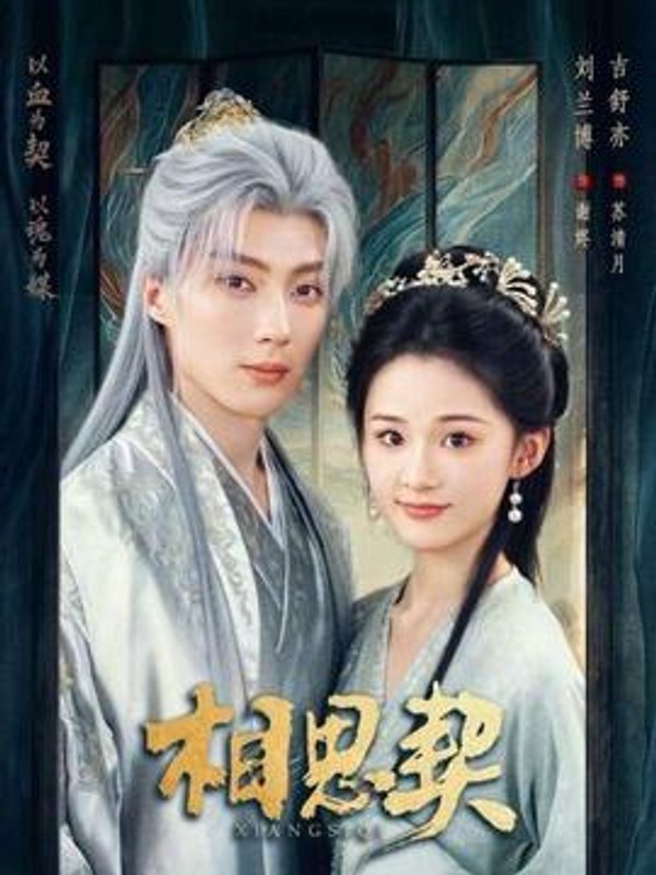 相思契封面图