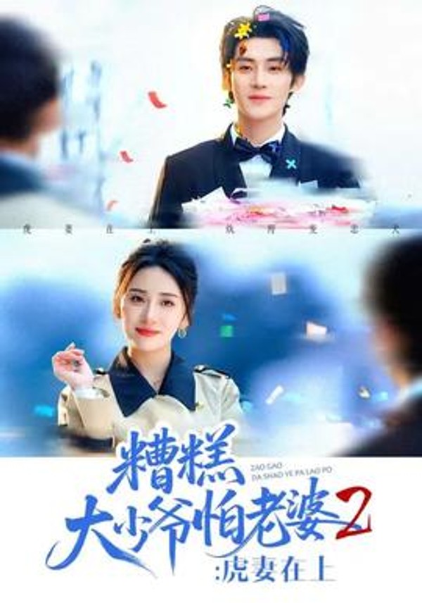 糟糕大少爷怕老婆2：虎妻在上封面图