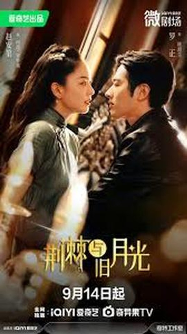 荆棘与月光封面图