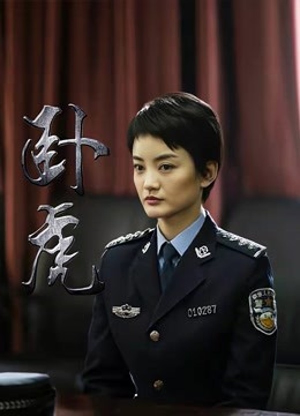 卧虎封面图
