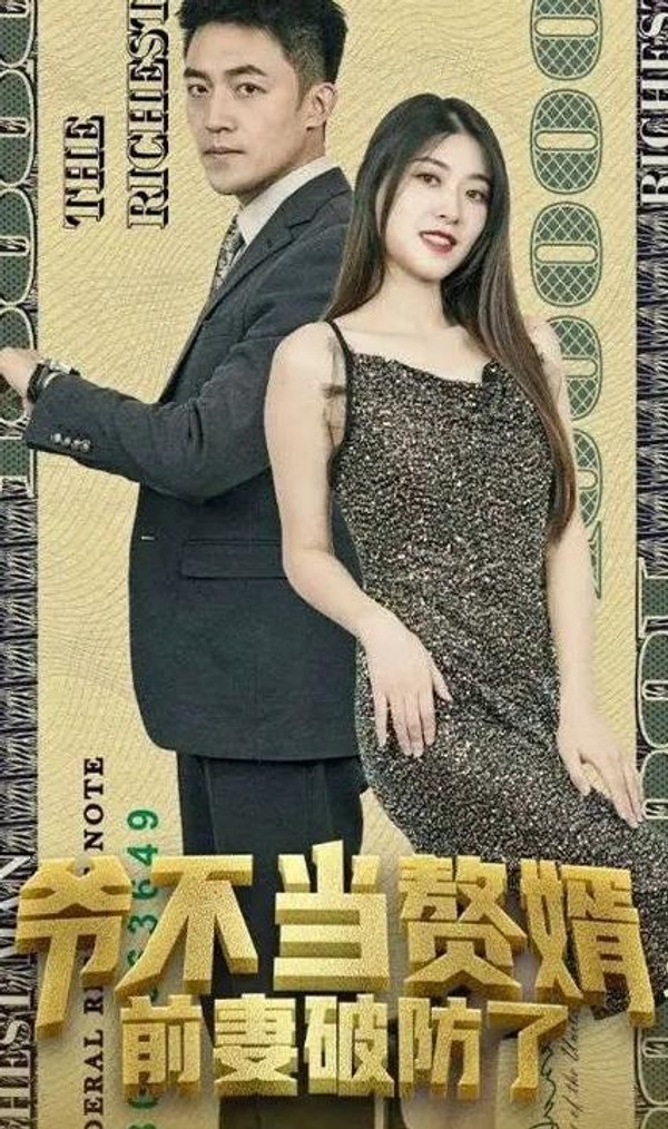 爷不当赘婿，前妻破防了封面图